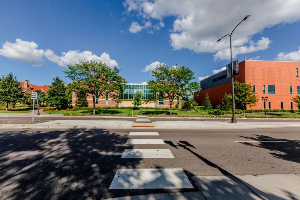 Snelling Avenue ADA Crosswalk